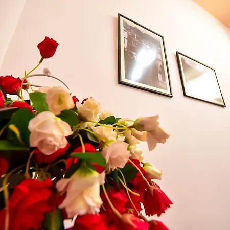 The Old Town Clock فندق Gjirokastër